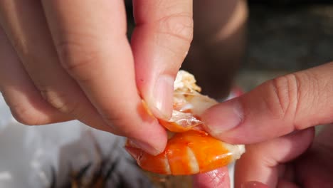 pelando la cáscara de camarón de río cocinado para comer