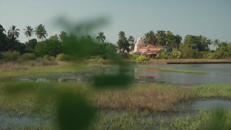 distant view of a red roofed cottage by mashes with forest trees in the background