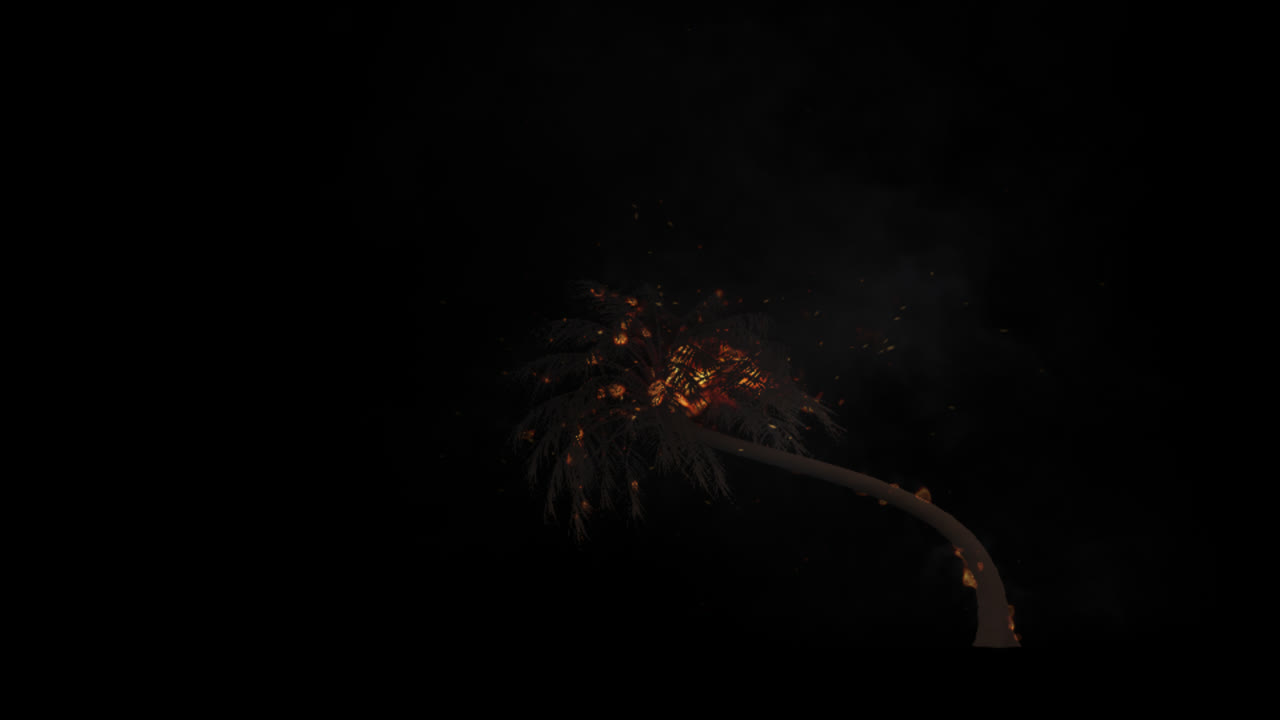 불타는 종려나무