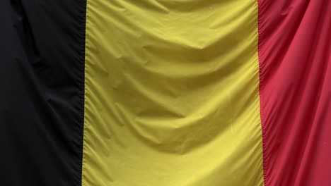 4k. large flag of belgium moving through the wind. national flag