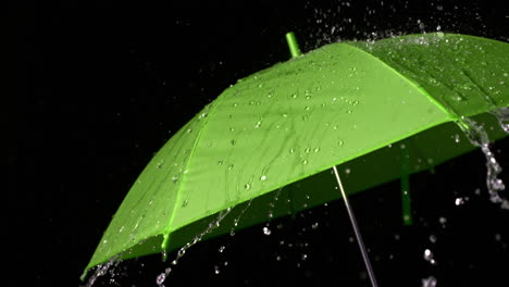 rain falling on green umbrella