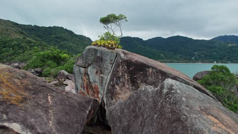 Picturesque-view-of-the-rocky-beach-and-people-enjoying-at-the-site