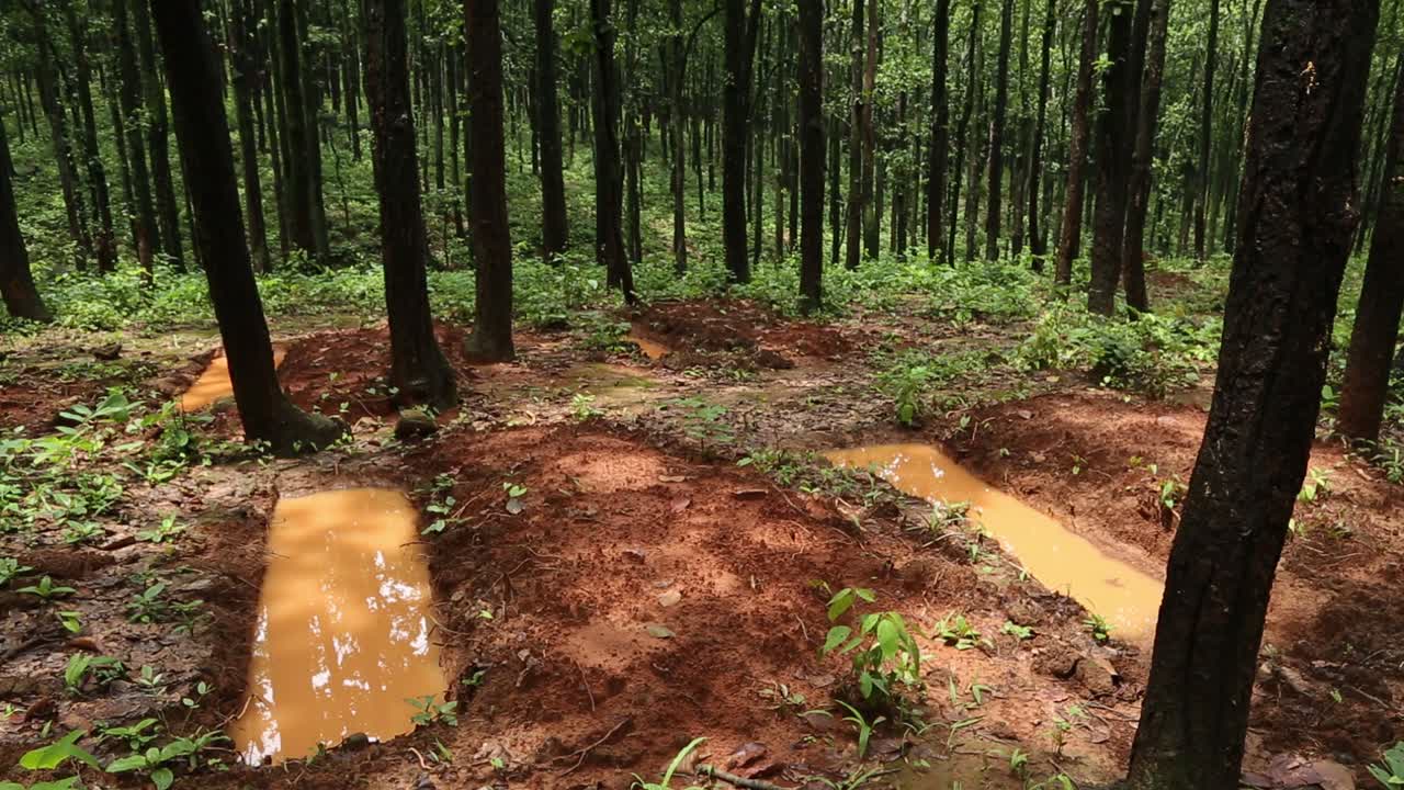 빗물 수확 기술 이 기술은 경사면, 강, 날라스를 통해 낭비되는 물을 절약하기 위해 채택되었습니다.