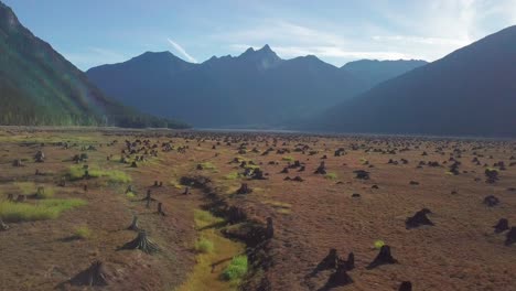 Aerial-flight-over-a-dry-lake-bed-full-of-tree-stumps