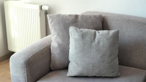 modern grey sofa with pillows in living room at home high quality photo