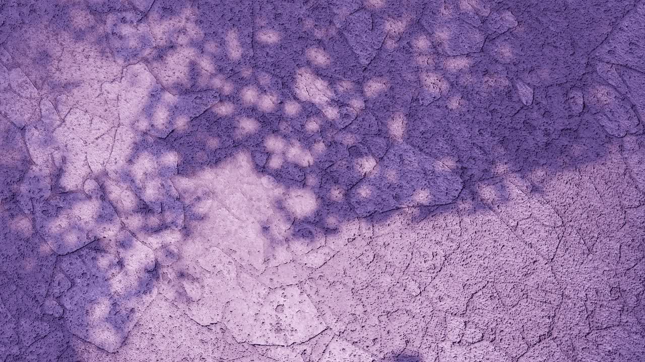 animación del suelo seco con sombra de árbol de plantas de hojas