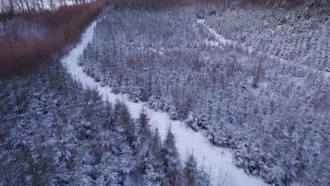 Epic-Winter-Landscape-With-Snow-Covered-Fields-and-Trees---Tilt-Shot-and-Dolly-Shot