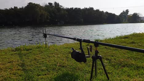 low view of a fishing rod with a line in the water overlooking a calm pond