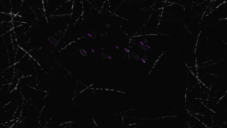 animación de rastros de luz púrpura sobre fondo negro