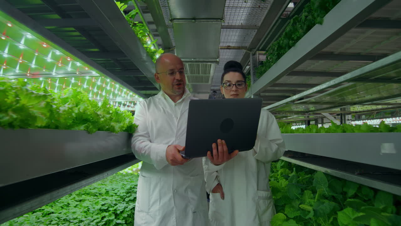 Genetic engineering. Doctors in white coats look and adjust the work of the vertical farm checking the plants and looking into the screens of tablets