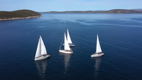 tourists swimming on a calm blue sea beside white sailboats in hvar, croatia