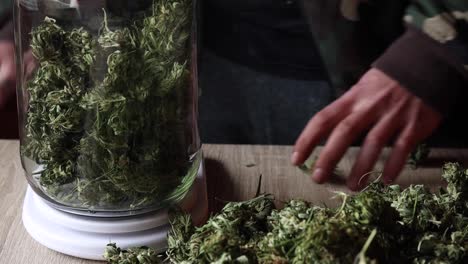 cannabis buds in jars on table