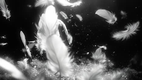 floating white feathers in dark water. a collection of delicate white feathers gracefully drifts in dark water, creating a serene and tranquil atmosphere.