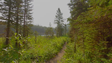 Walking-down-a-trail-near-Lost-Lake-in-Colorado