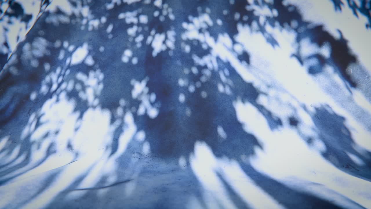 Dynamic Shadows of Tree Leaves Moving on a Textured Blue Surface