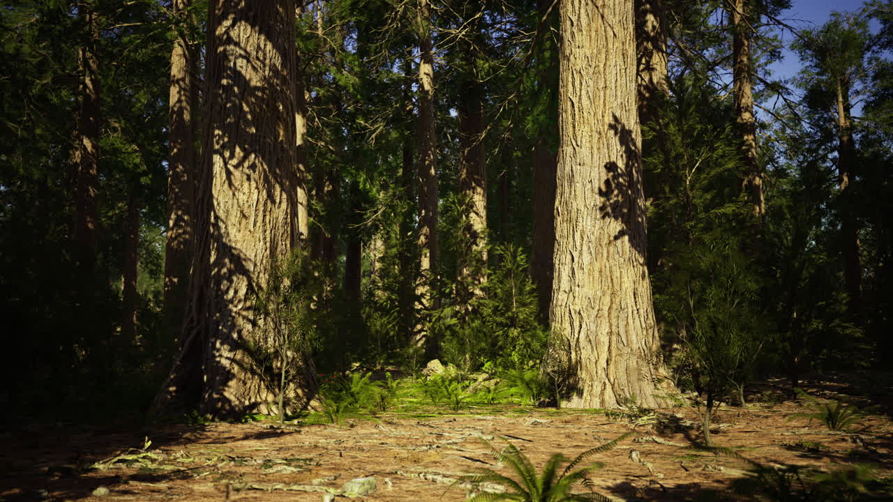 Majestic towering trees create an enchanting forest landscape in daylight