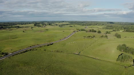 Verdant-Countryside-Environment-in-a-Sunny-Day.-Aerial