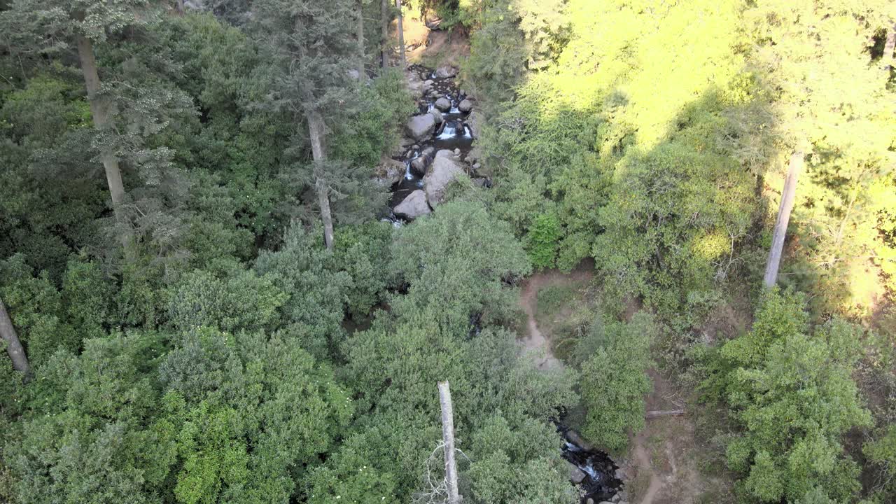 inclínate al amanecer con un dron sobre un bosque con un pequeño río