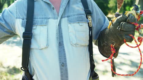 águila halcón posada en la mano del hombre