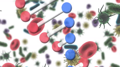 animación de la cadena de adn que gira sobre las plaquetas y las células sanguíneas