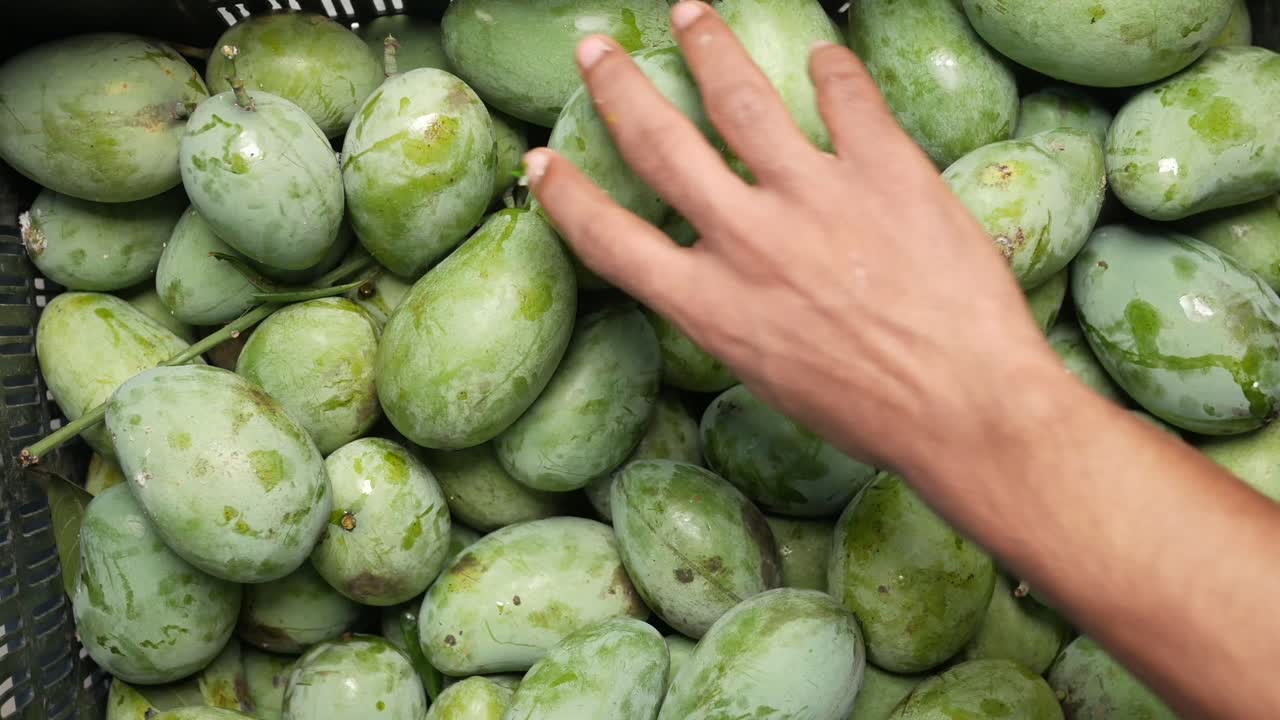 상자 에 넣은 초록색 망고