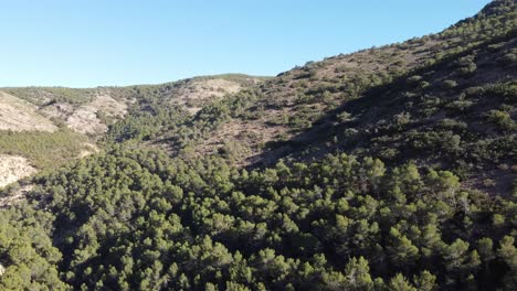 Toma-De-Drone-De-Un-Paisaje-Natural,-En-Un-Día-Soleado.