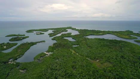 set of mangrove lagoons in tintipan colombian island