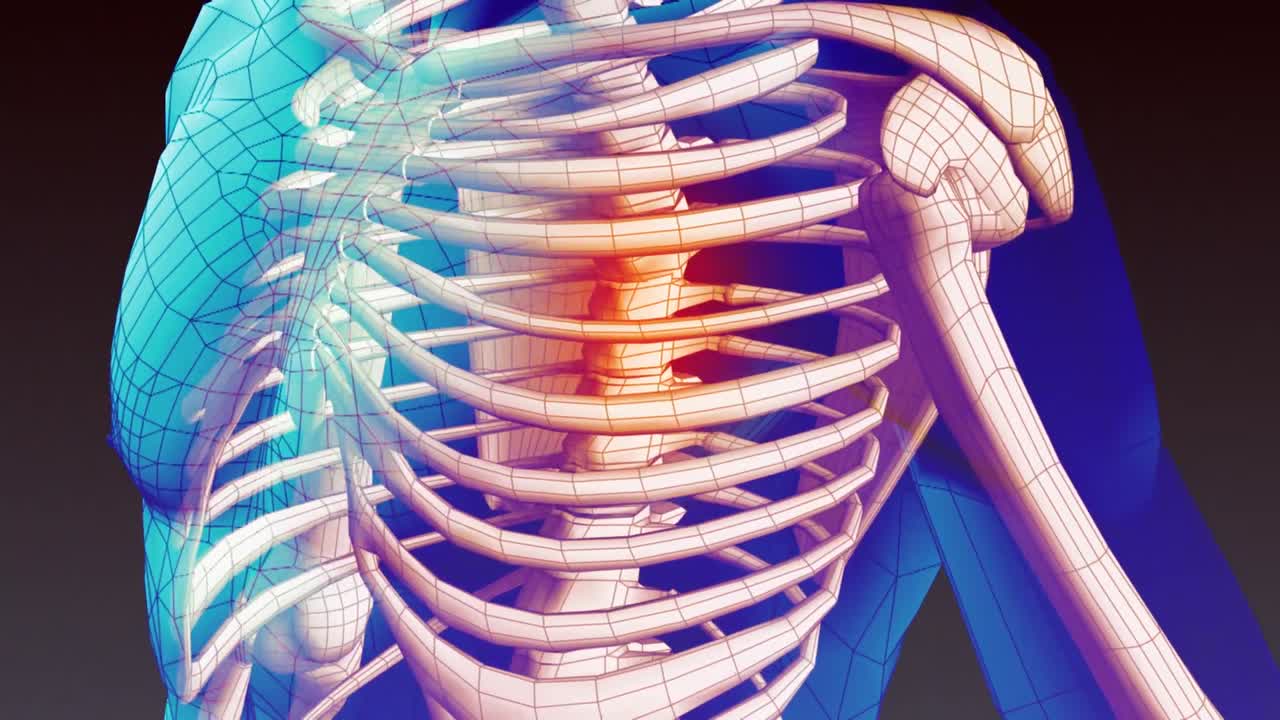 animación de stock del corazón humano