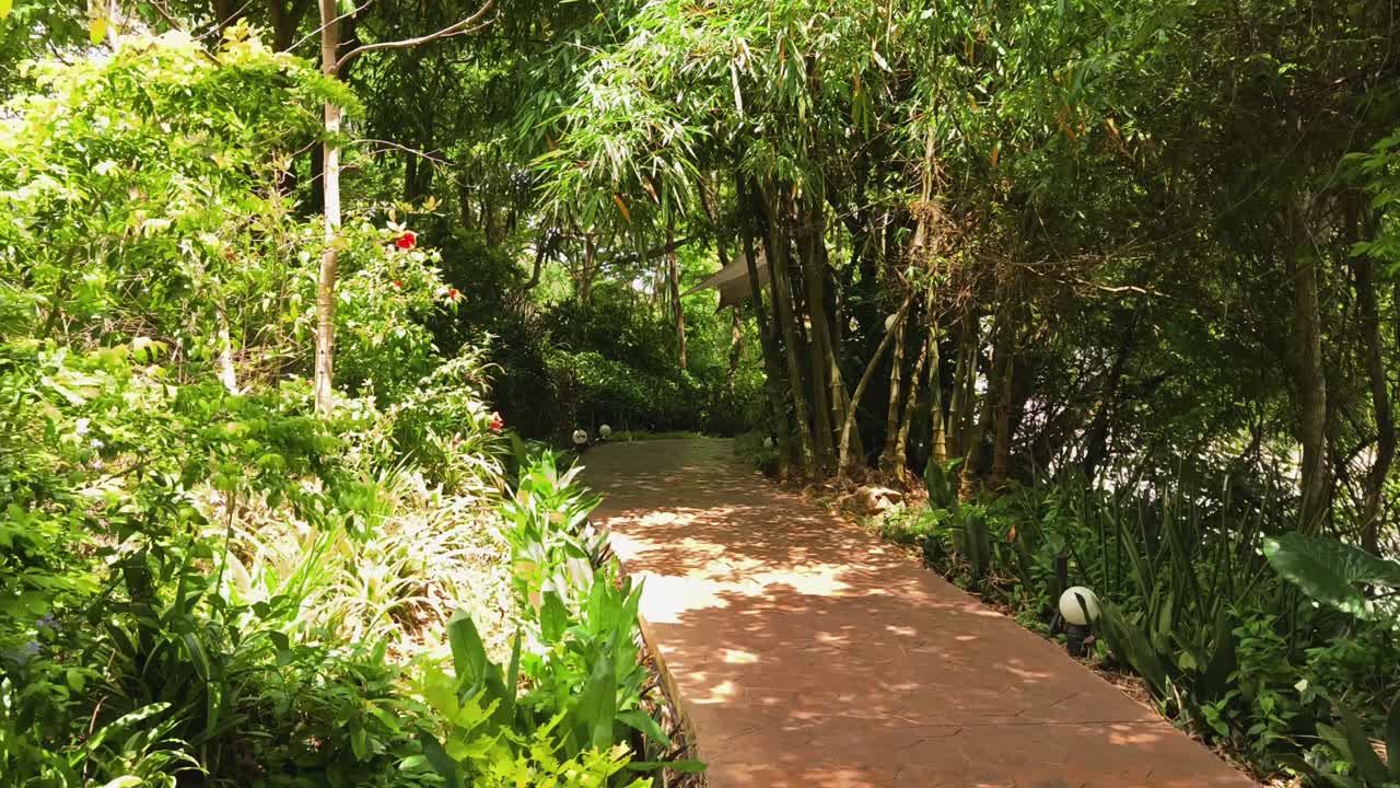 Peaceful Garden Pathway