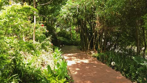 peaceful garden pathway