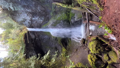 vertical shot of majestic marymere falls in olympic