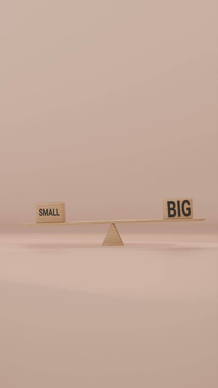 VERITCAL VIDEO OF SMALL AND BIG BALANCING ON SEESAW