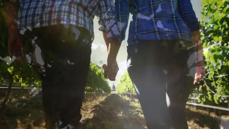 composite video of close up of leaves against low section of couple holding hands walking in garden