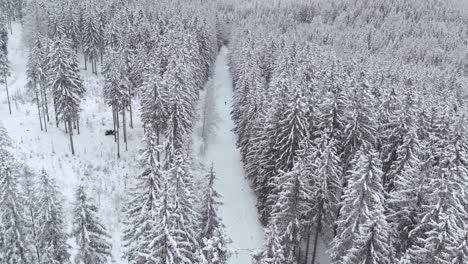 Aerial-view-overlooking-a-trail-with-running-man-in-distance,-in-middle-of-snow-covered-trees-and-snowy-forest,-on-a-cloudy,-winter-day---drone-shot,-high-angle
