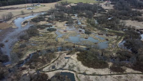 a meandering river spilling into the landscape