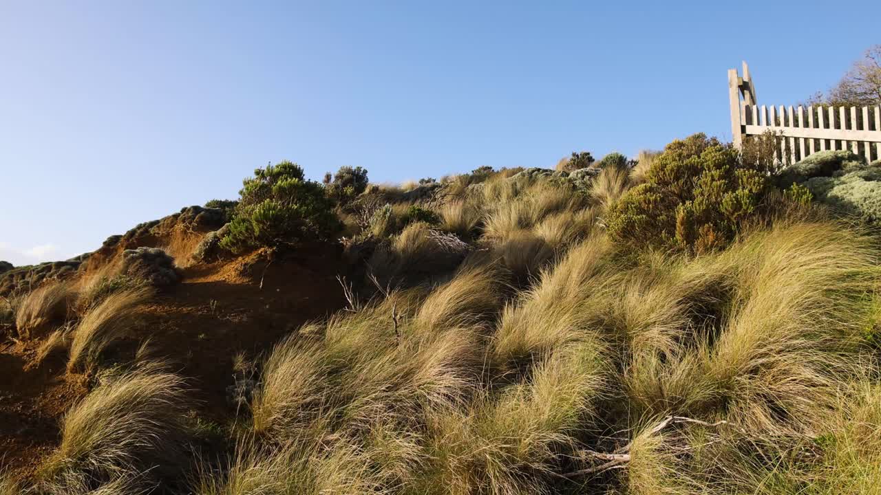 bosque y acantilados cerca de los doce apóstoles, melbourne