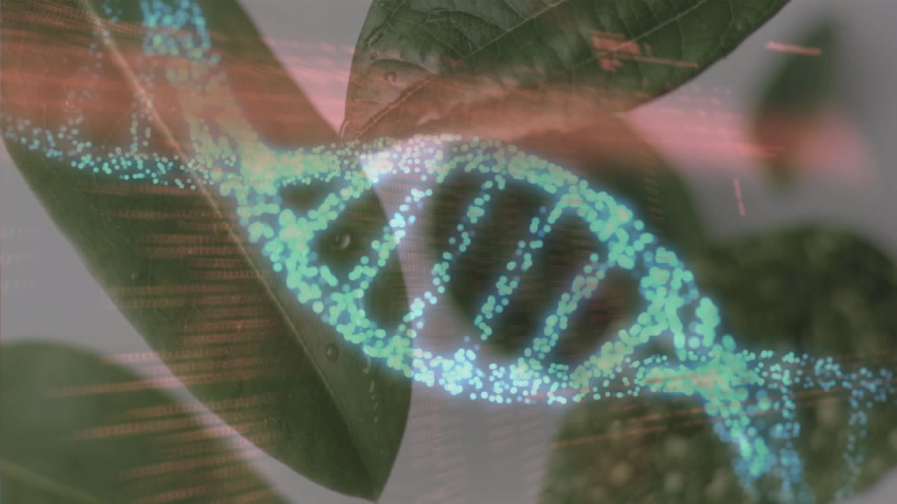 Animazione di un filamento di DNA su foglie