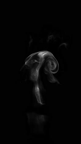 abstract white smoke on black background