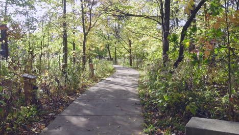 Concrete-bike-path-on-a-sunny-windy-day,-no-persons