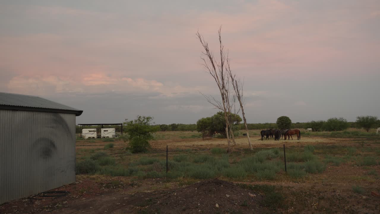오스트레일리아 북부 즐랜드의 말 농장, 생태 관광, 건조한 아웃백