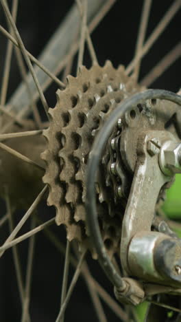 primer plano de una persona de pie junto a una bicicleta estacionada en un campo cubierto de hierba, la persona levanta ligeramente el neumático trasero y pedalea brevemente, haciendo que el neumático gire, con un fondo borroso