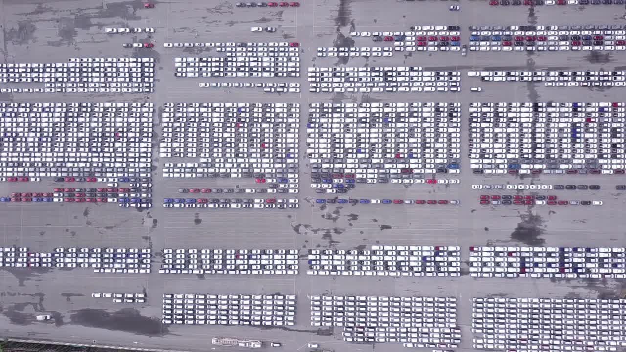 주차장에서 항구에서 판매되는 최상위 새로운 자동차