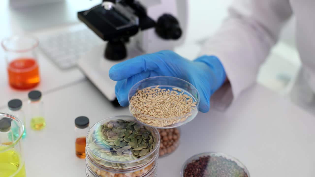 Scientist examining seeds in a laboratory