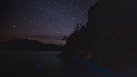 time lapse of milky way stars on night sky above marlborough sounds, new zealand