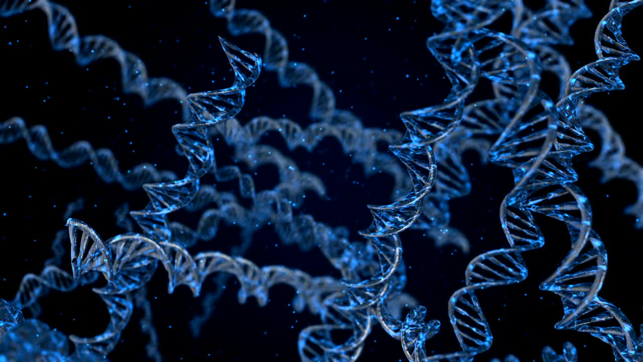 código de adn. abstracto 3d marco de alambre poligonal dna molécula hélice en espiral. animación en bucle.