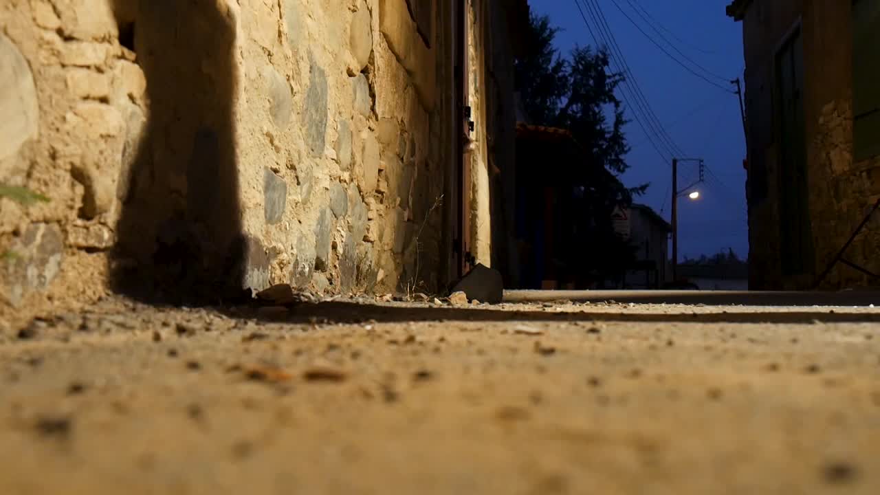 Un'ombra che passa in un vicolo buio e malfamato di notte