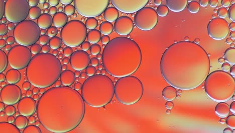 colorful artistic of oil drop floating on the water. abstract bubble background