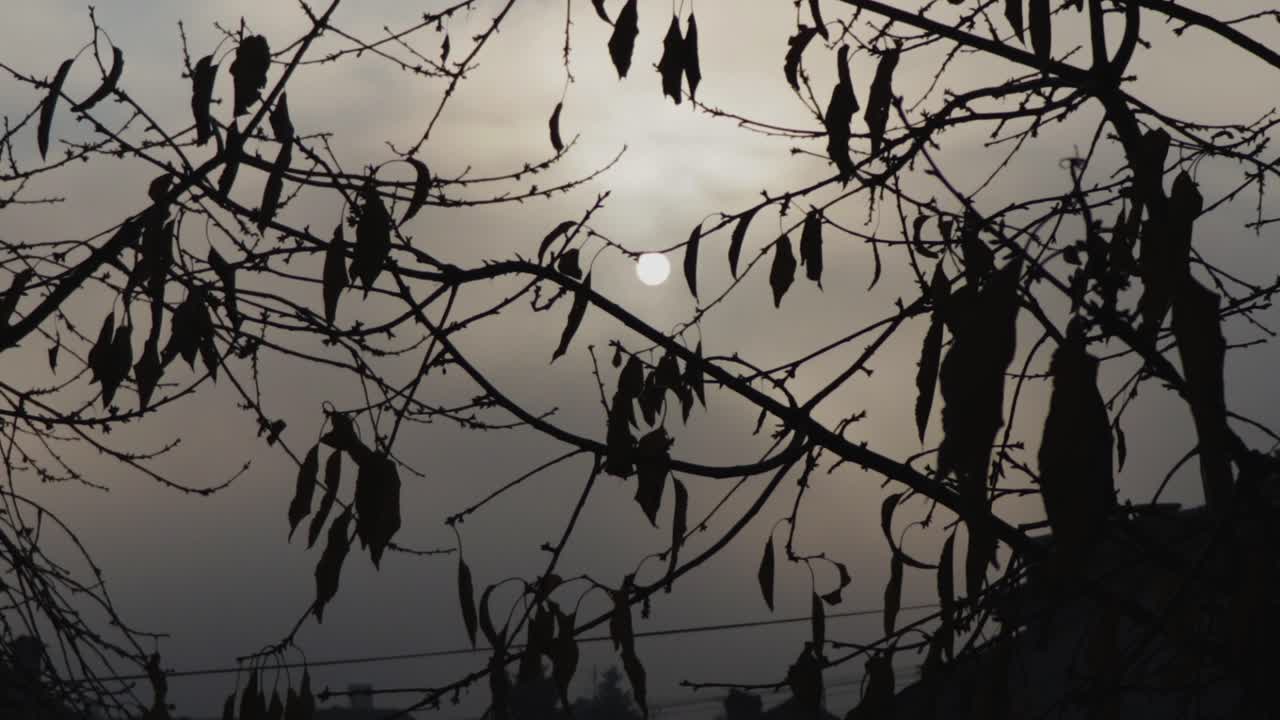 sol en niebla al atardecer