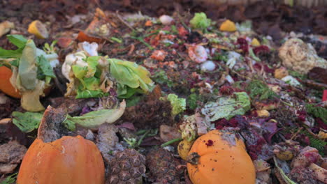 pile of composting natural waste - close up, zoom out