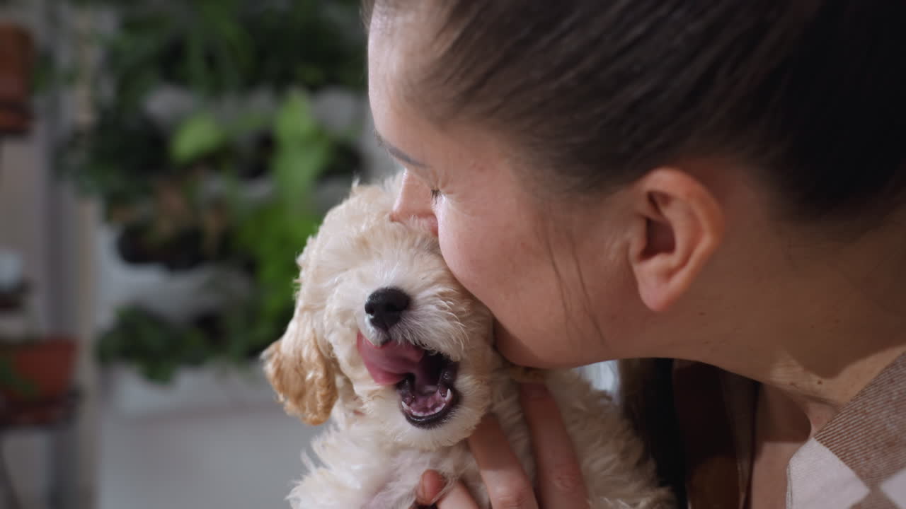 Nature devotee gently holding adorable poodle puppy as it lovingly licks her cheek, creating intimate joyful bonding moment in bright indoor space surrounded by green plants